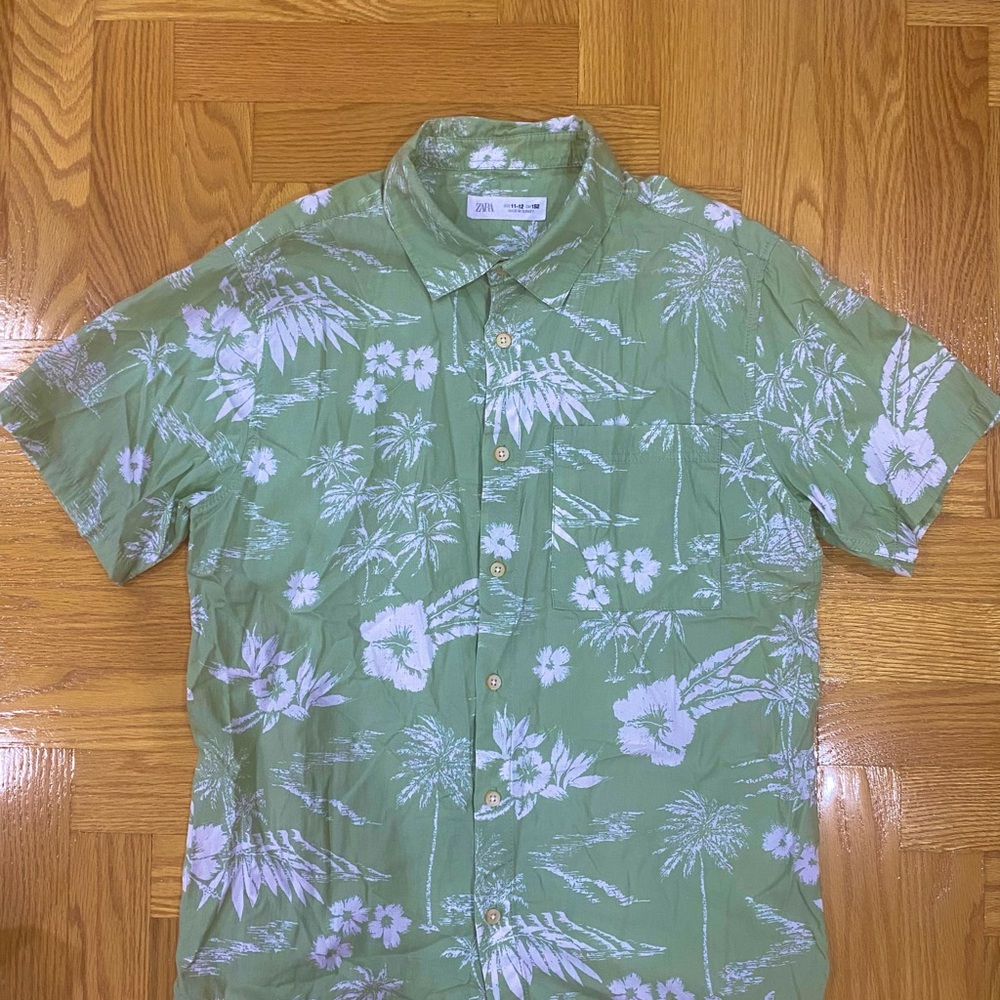 Zara Light Green and White Casual Lightly Worn Button Down Shirt